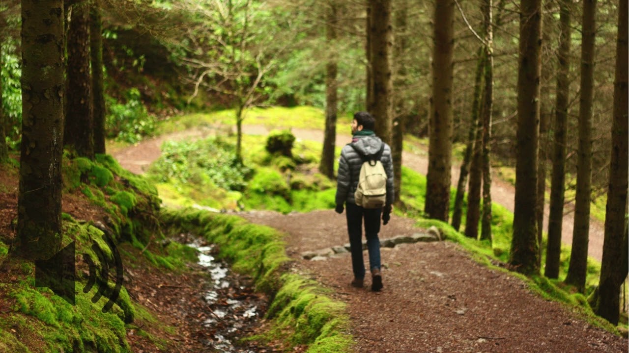 Hiker walking along a narrow forest trail surrounded by trees